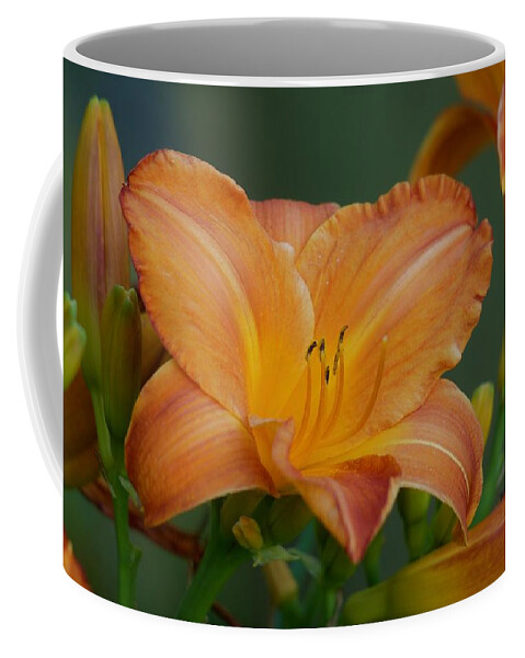 Lily Coffee Mug featuring the photograph Orange Summer 2022 by Richard Cummings