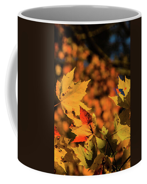 Orange Tipped Sunlight Coffee Mug featuring the photograph Orange Tipped Sunlight by Jeff Folger