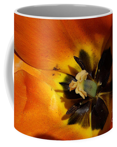 Art Coffee Mug featuring the photograph Orange Tulip 1 by Jean Bernard Roussilhe