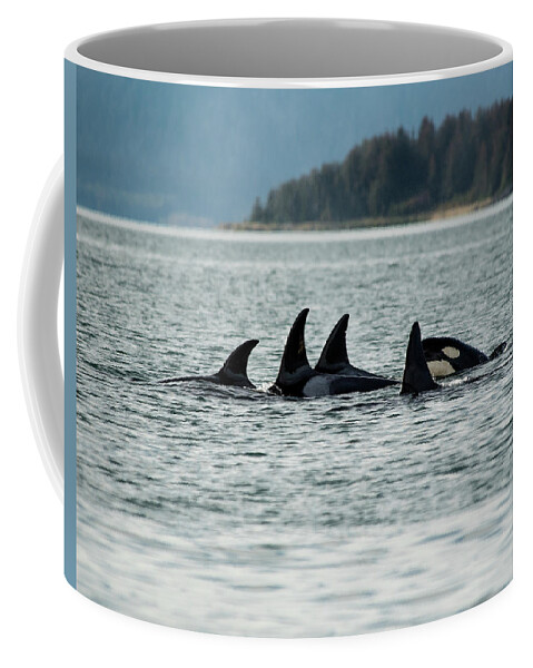 Orcas Coffee Mug featuring the photograph Orcas by David Kirby