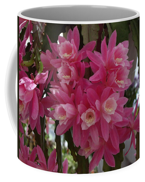 Cactus Coffee Mug featuring the photograph Orchid Cactus by Nancy Ayanna Wyatt