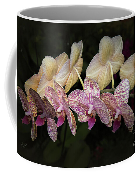 Orchid Coffee Mug featuring the photograph Orchid Perfection by Elaine Teague
