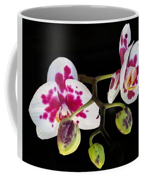 Orchid Coffee Mug featuring the photograph Orchid Transparency by Richard Goldman