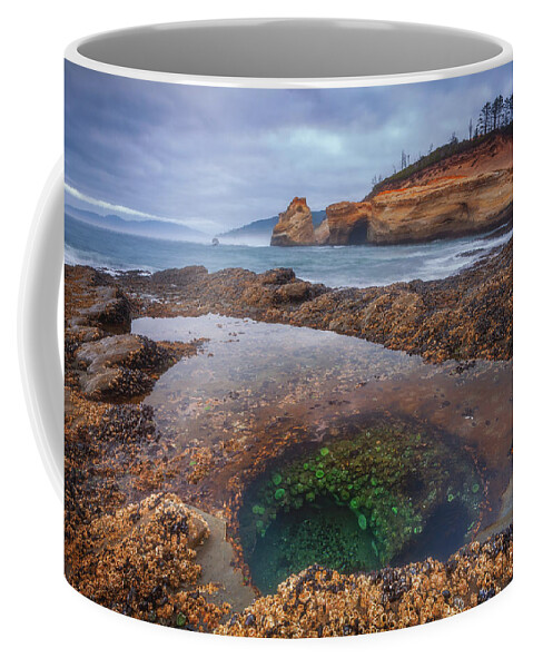 Oregon Coffee Mug featuring the photograph Oregon Tide Pool by Darren White