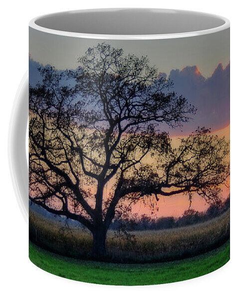 Oregon Coffee Mug featuring the photograph Oregon WI Oak at sunset in October by Peter Herman