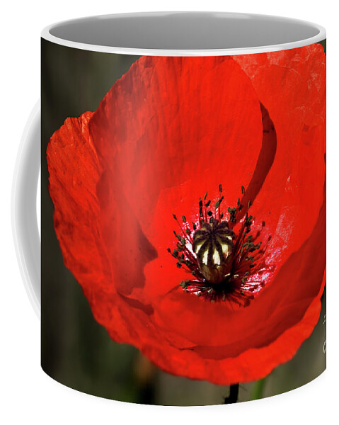 Beautiful Coffee Mug featuring the photograph Oriental summer Poppy by Stephen Melia