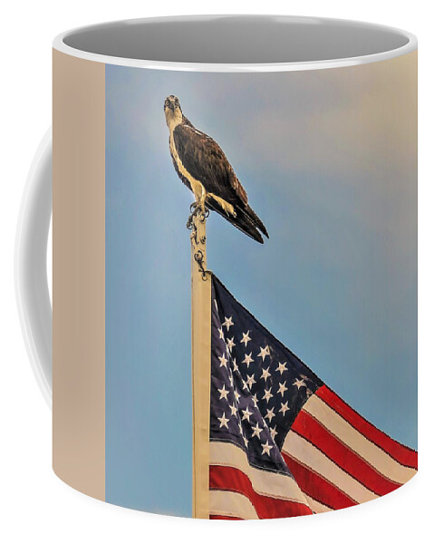 Ospray Bird Feathers Flag Coffee Mug featuring the photograph Osprey10a by John Linnemeyer