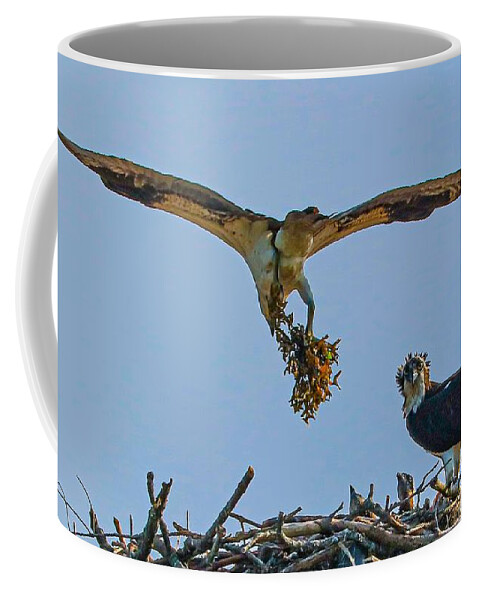 Ospray Bird Nest Coffee Mug featuring the photograph Osprey11 by John Linnemeyer