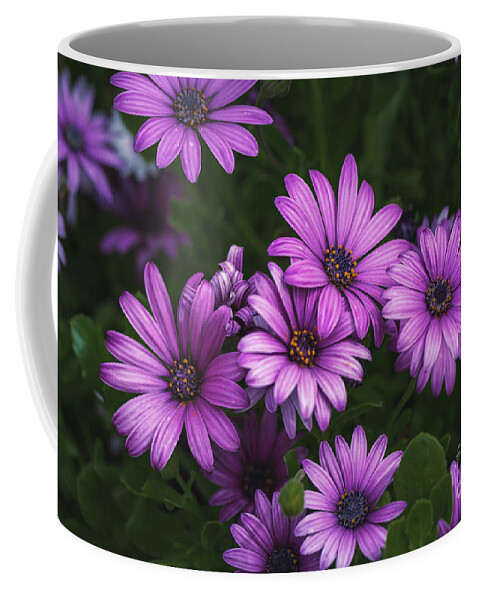  Purple Daisy Coffee Mug featuring the photograph Purple Mum Flower Party by Abigail Diane Photography