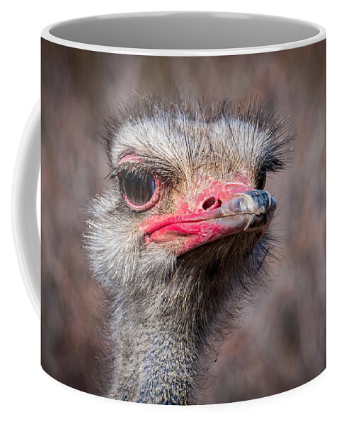 Ostrich Out Of Africa Fstop101 Coffee Mug featuring the photograph Ostrich by Geno Lee