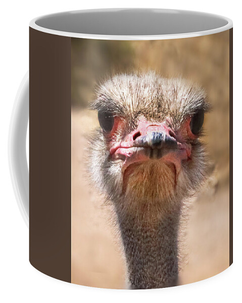 Ostrich Coffee Mug featuring the photograph Ostrich Staredown by Laura Putman