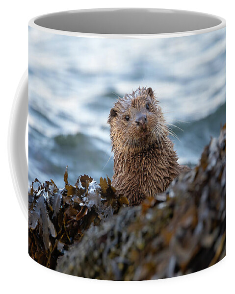 Otter Coffee Mug featuring the photograph Otter Cub Peekaboo by Pete Walkden