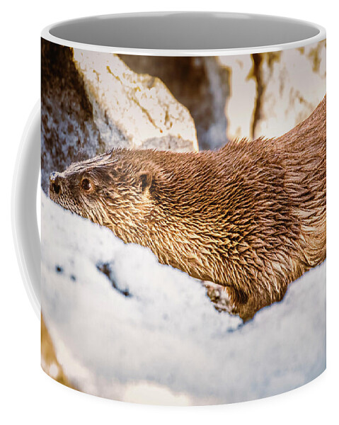 Lake Coffee Mug featuring the photograph Otter Slide by Mike Lee