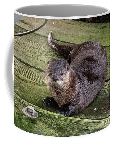 Otter Coffee Mug featuring the photograph Otter takes a break by Stephen Sloan