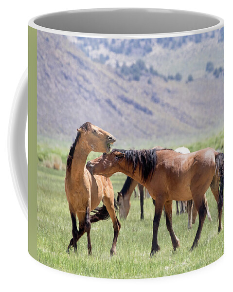 Eastern Sierra Coffee Mug featuring the photograph Ouch by Cheryl Strahl