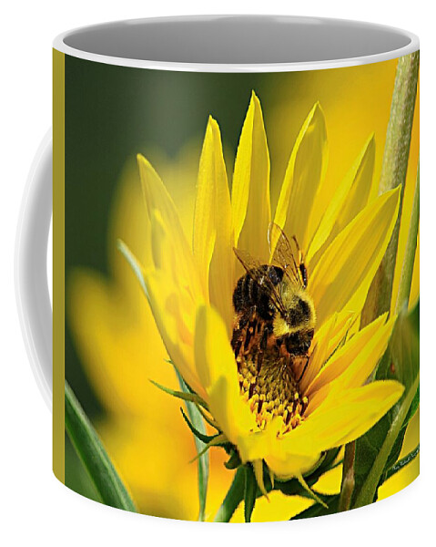 Bee Coffee Mug featuring the photograph Our Best Friend by Mary Walchuck