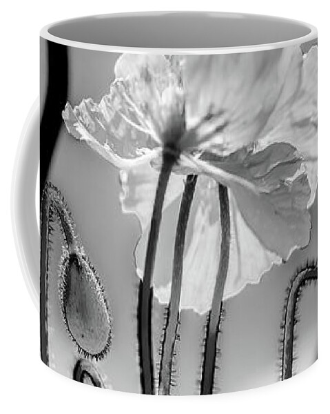 Beautiful Black And White Flower Coffee Mug featuring the photograph Out Of Shadows by Az Jackson