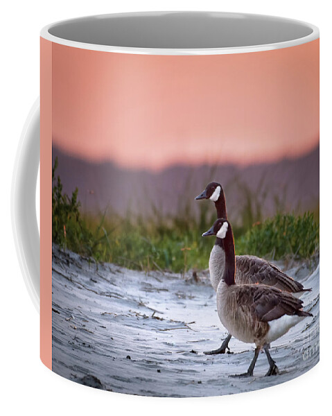 Canada Geese Coffee Mug featuring the photograph Out on an evening stroll by Rehna George