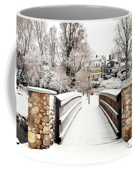 Footbridge Coffee Mug featuring the photograph Over the footbridge winter by Janice Drew