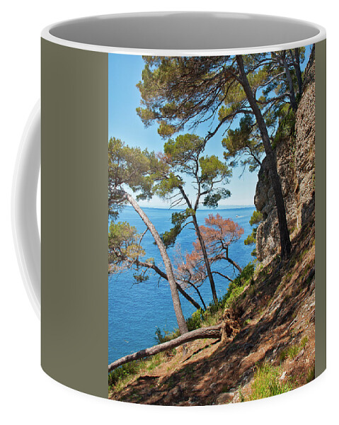 Trees Coffee Mug featuring the photograph Overlooking the Sea - Portofino, Italy by Denise Strahm