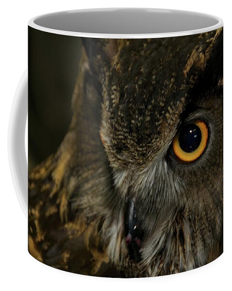 Animal Coffee Mug featuring the photograph Owl Be Seeing You by Melissa Southern