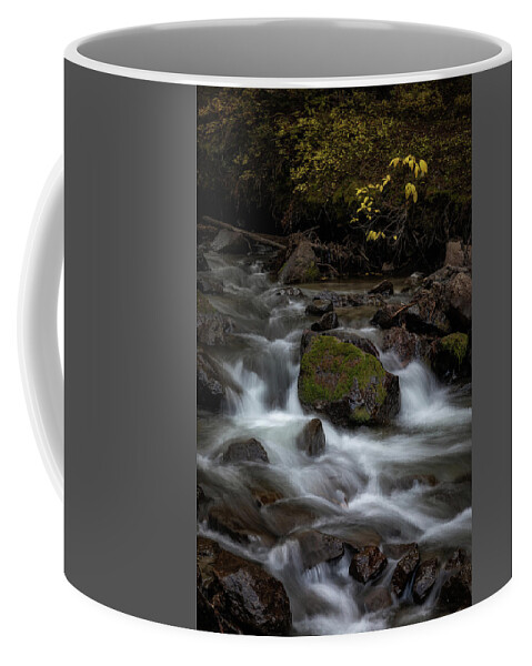 Waterfall Coffee Mug featuring the photograph Owl Creek by Chuck Rasco Photography