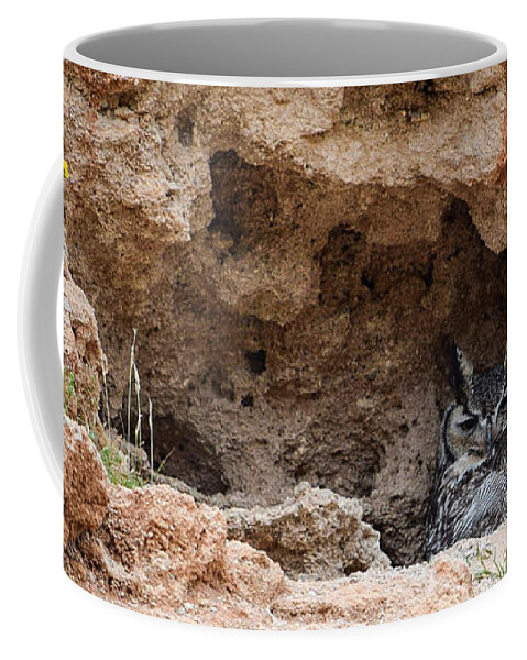 Owl Coffee Mug featuring the photograph Owl Nesting on Cliffside by Bonny Puckett