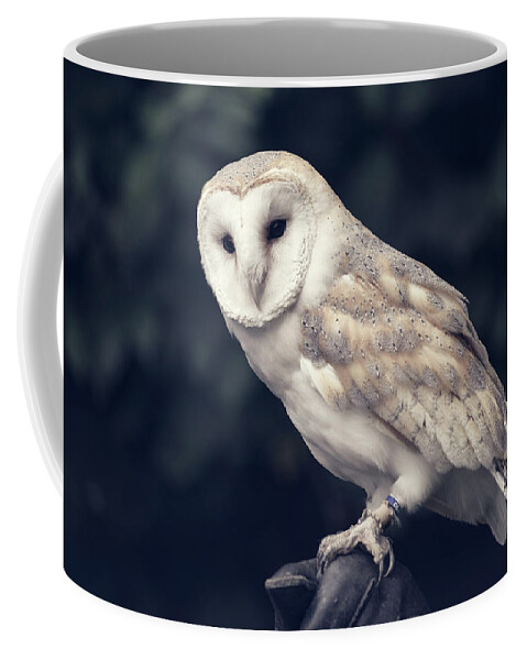 Owl Coffee Mug featuring the photograph Owl sitting on a glove by Andrew Lalchan