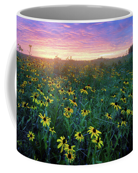 Conservation Area Coffee Mug featuring the photograph Paintbrush Prairie IV by Robert Charity