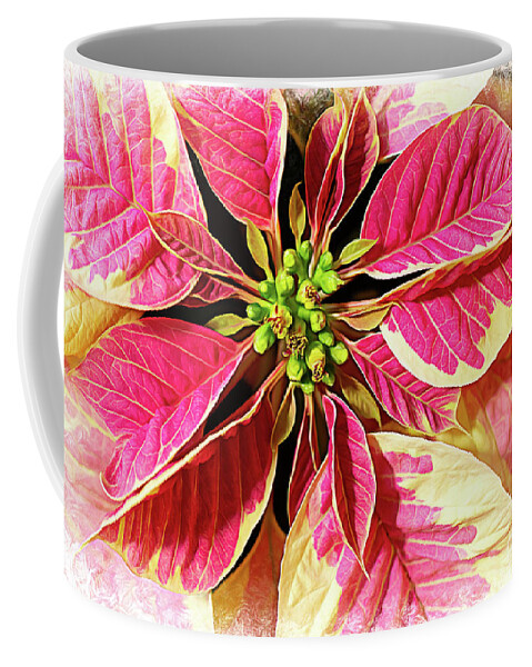 Christmas Tradition Coffee Mug featuring the photograph Painted Poinsettia by Amy Dundon