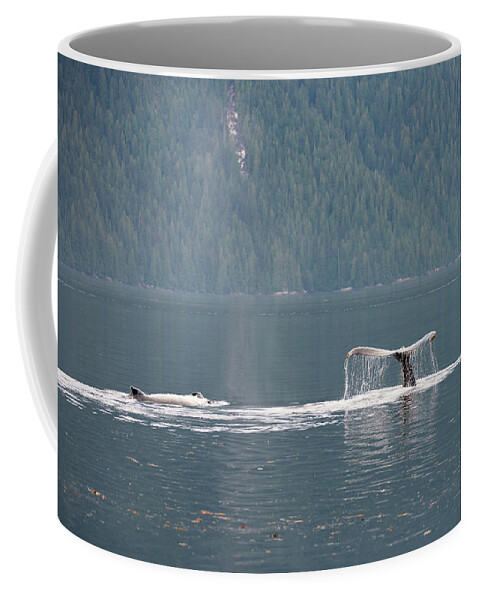 Whale Coffee Mug featuring the photograph Pair of Humpbacks by Bill Cubitt