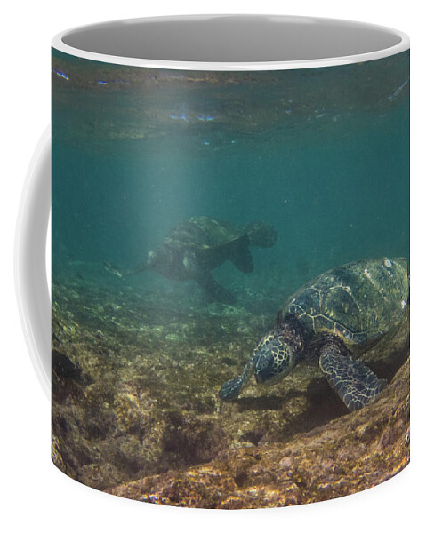 Chelonia Mydas Coffee Mug featuring the photograph Pair of Sea Turtles in a Kauai Reef by Nancy Gleason