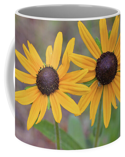 Flowers Coffee Mug featuring the photograph Pair of sunflowers by Bob Falcone