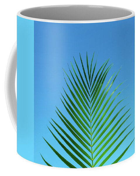 Palm Coffee Mug featuring the photograph Palm Frond Tropical Blue by Laura Fasulo