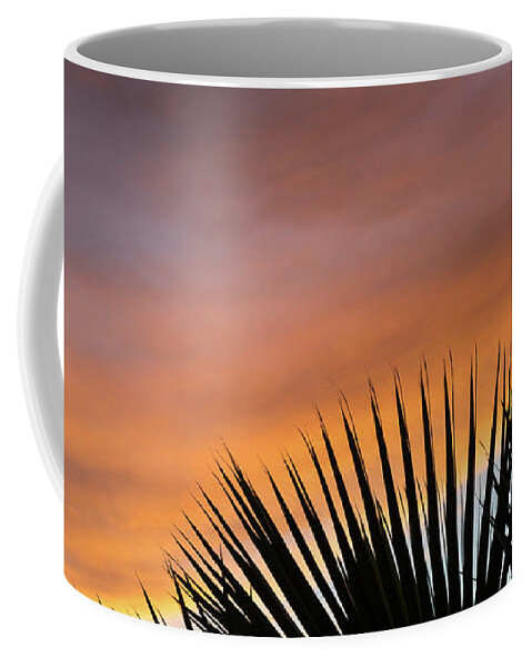 Palm Leaves Coffee Mug featuring the photograph Palm leaves and soft clouds at sunset by Adriana Mueller