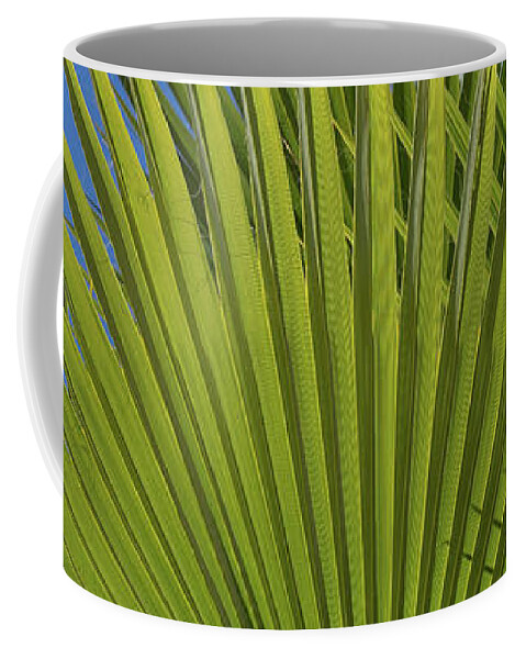 Palm Leaf Coffee Mug featuring the photograph Green palm leaves, blue sky and white wall of a modern finca 2 by Adriana Mueller