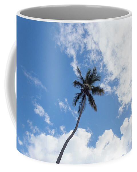 Palm Coffee Mug featuring the photograph Palm Tree in the Clouds by Beachtown Views