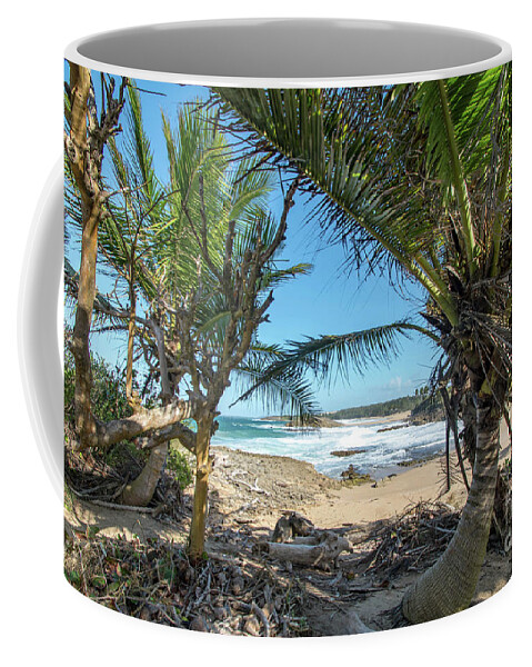 Playa Las Golondrinas Coffee Mug featuring the photograph Palm Tree Shade, Playa Las Golondrinas, Isabela, Puerto Rico by Beachtown Views