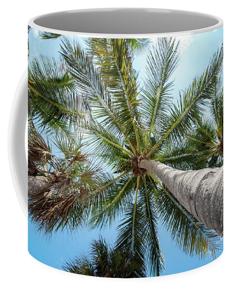 Palm Coffee Mug featuring the photograph Palm Trees from Below by Beachtown Views