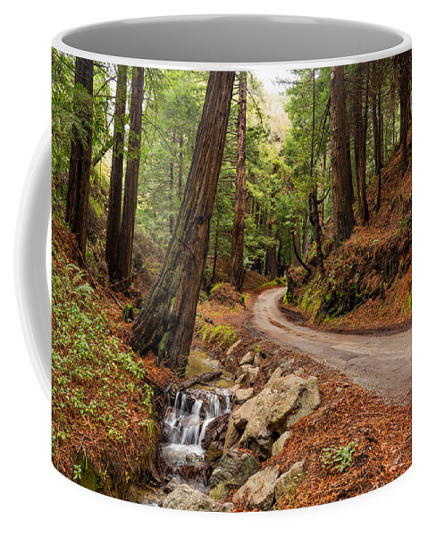 Palo Colorado Canyon Coffee Mug featuring the photograph Palo Colorado Canyon by Derek Dean