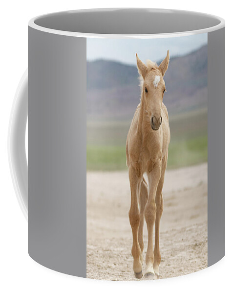 Horses Coffee Mug featuring the photograph Palomino Foal by Mary Hone