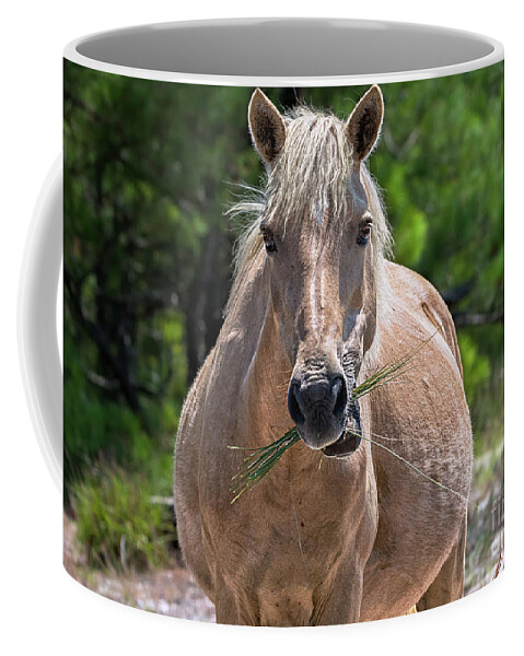 Horse Coffee Mug featuring the photograph Palomino horse by Rehna George