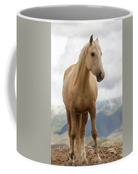 Horses Coffee Mug featuring the photograph Palomino by Mary Hone