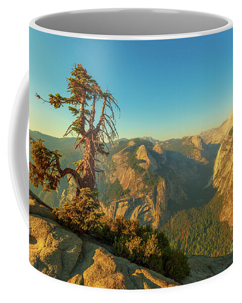 Yosemite Coffee Mug featuring the photograph panorama tree at Glacier Point by Benny Marty