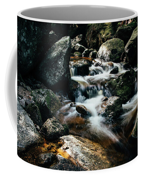 Jizera Mountains Coffee Mug featuring the photograph Picturesque river hidden in the Jizera Mountains by Vaclav Sonnek