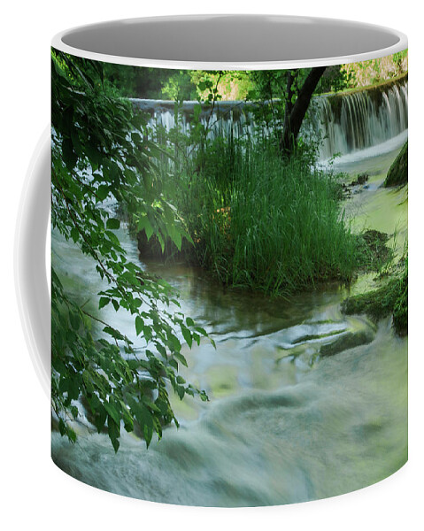 Nature Coffee Mug featuring the photograph Panther Falls in Spring by Iris Greenwell