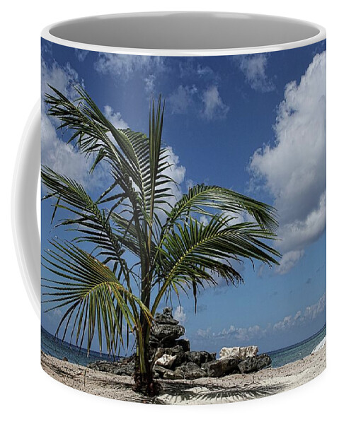 Palm Tree Coffee Mug featuring the photograph Paradise Picnic by Brad Barton