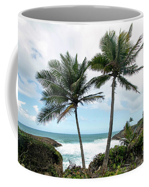Cerro Gordo Coffee Mug featuring the photograph Parque nacional Cerro Gordo, Puerto Rico by Beachtown Views