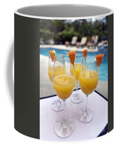 Pooltime Coffee Mug featuring the photograph Party Time at the Pool 7776 by Jack Schultz