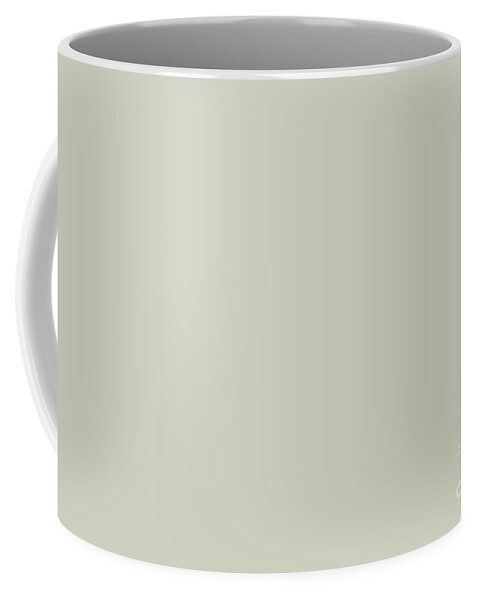 Light Pastel Gray Green Solid Color Pairs To Sherwin Williams